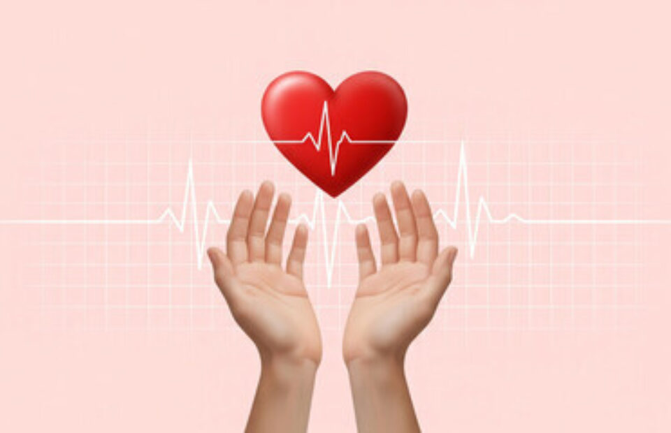 240 F 1698360349 XO Ms SJ4 MN2 Vf W Scx Ys Jo F Pecg56 WMJGT